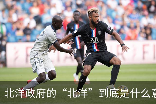 北洋政府的“北洋”到底是什么意思？不是北方洋人的意思