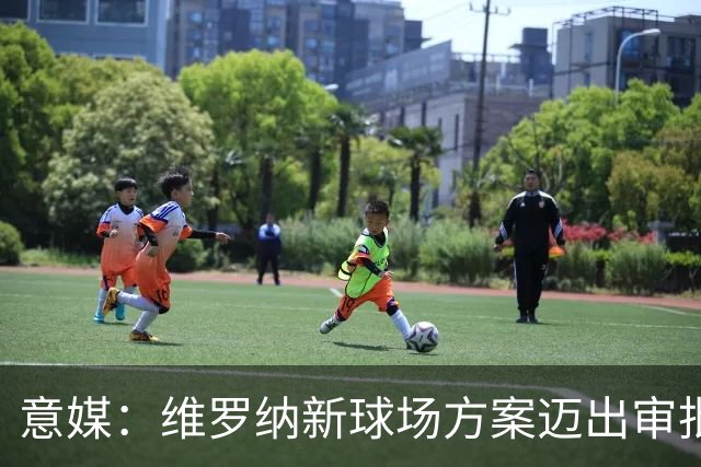 意媒：维罗纳新球场方案迈出审批第一步