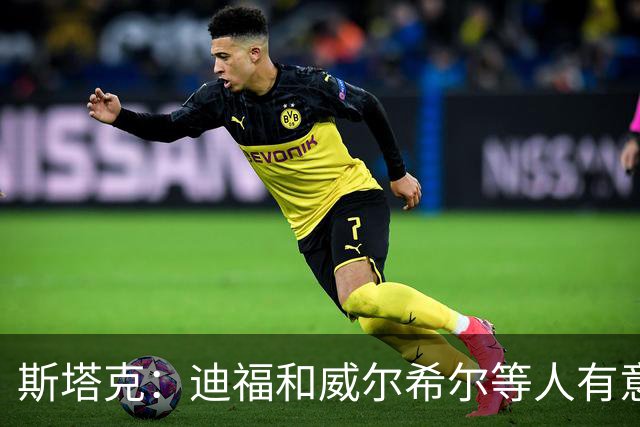 斯塔克：迪福和威尔希尔等人有意参加退役球员慈善拳击赛